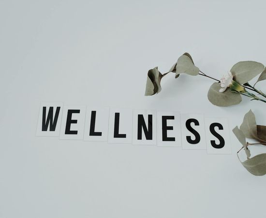 Minimalist conceptual representation of physical wellness